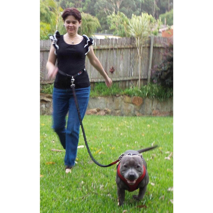 Hands Free Dog Leash - Designed for an Active Lifestyle - Walking - Running - Hiking