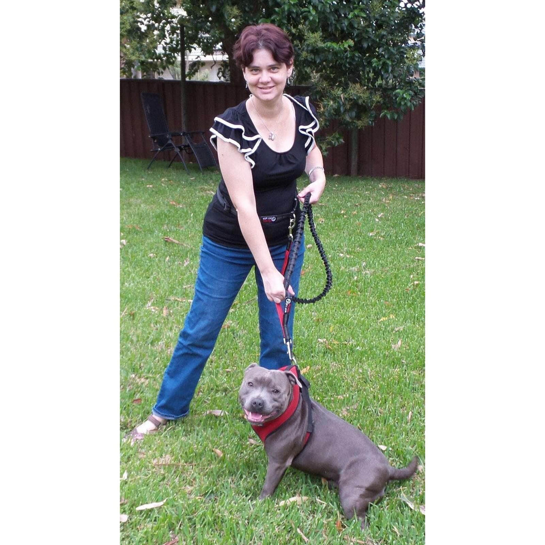 Hands Free Dog Leash - Designed for an Active Lifestyle - Walking - Running - Hiking