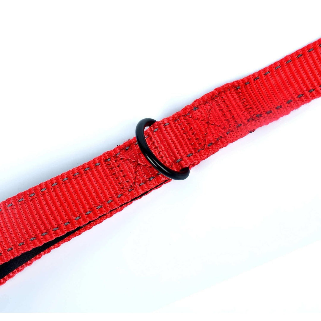 Dog Leash - Extra Heavy Duty - Thick 2.8mm Nylon - 1.8m or 2.4m Long