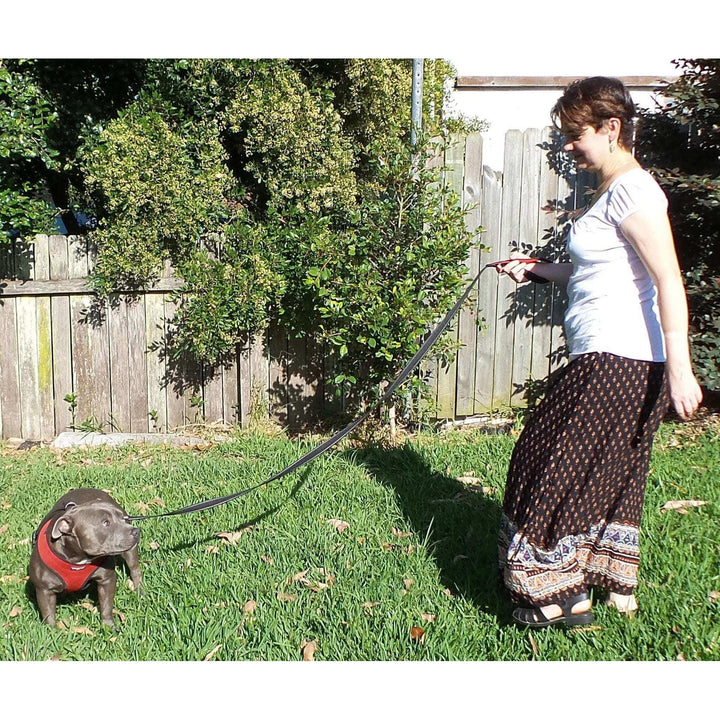 Dog Leash - Extra Heavy Duty - Thick 2.8mm Nylon - 1.8m or 2.4m Long