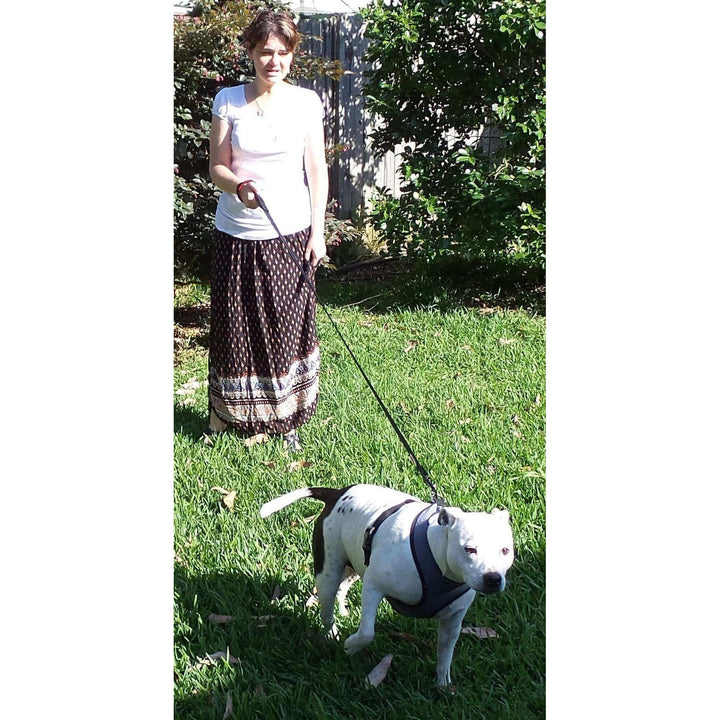 Dog Leash - Extra Heavy Duty - Thick 2.8mm Nylon - 1.8m or 2.4m Long