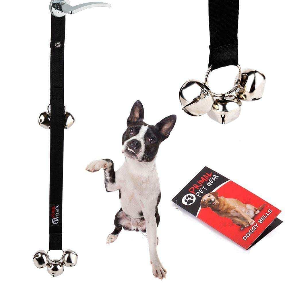 how to train your dog to use potty bells