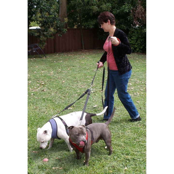 Double Dog Leash Coupler - Walk and Control 2 Dogs Easily - Primal Pet Gear