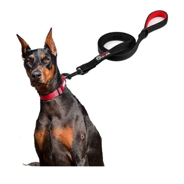 Dog Leash - Extra Heavy Duty - Thick 2.8mm Nylon - 1.8m or 2.4m Long
