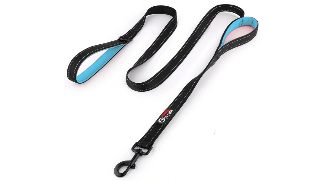 3 Reasons Why you need a Double Handle Dog Leash for your Medium, Large or Giant Breed - Primal Pet Gear