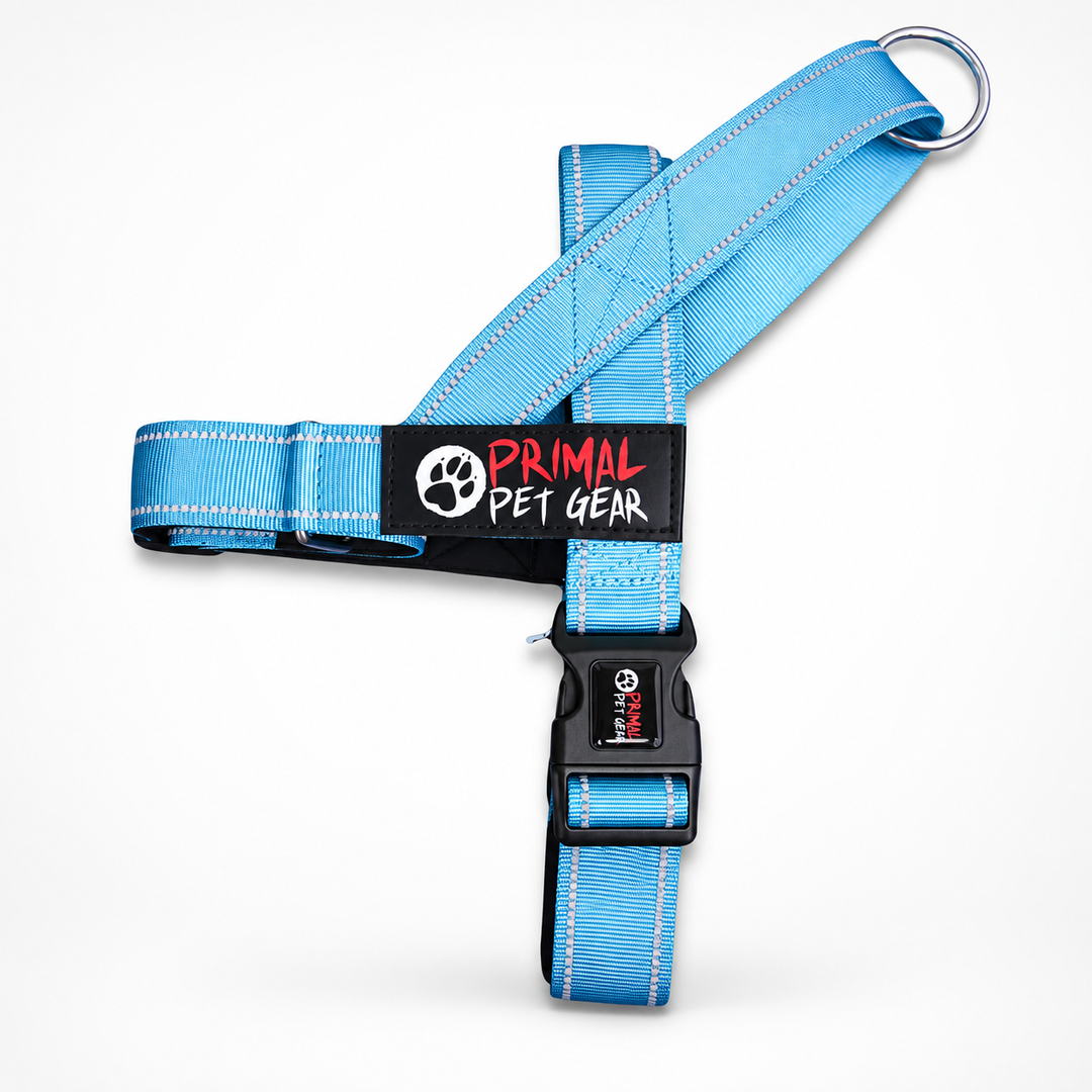 Primal Pet Gear Quick Fit Personalised Dog Harness