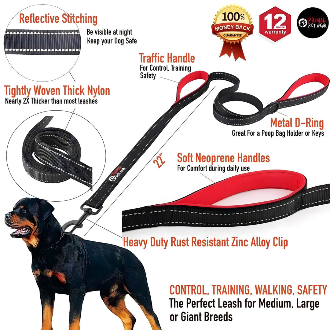 Double Handle Dog Leash 6FT Walk, Train and Protect