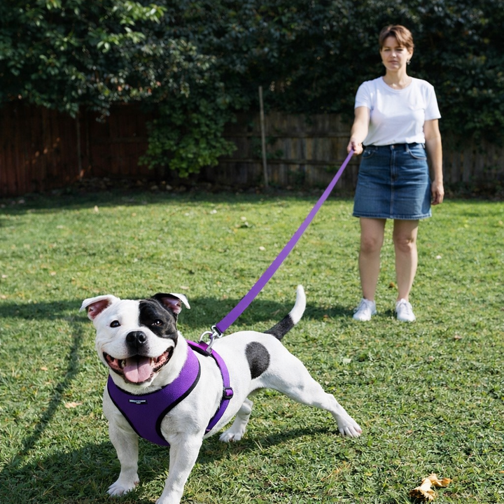 Double Handle Dog Leash - 6FT (1.8m) - Walk, Train and Protect your Pet in Traffic