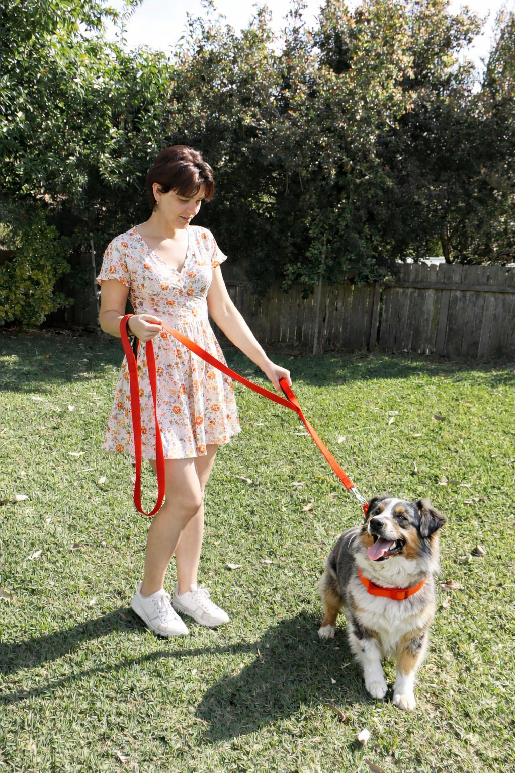 Double Handle Dog Leash - 6FT (1.8m) - Walk, Train and Protect your Pet in Traffic