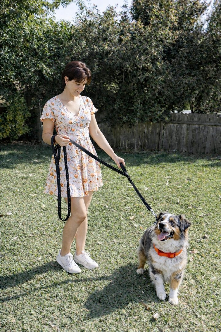 Double Handle Dog Leash - 6FT (1.8m) - Walk, Train and Protect your Pet in Traffic