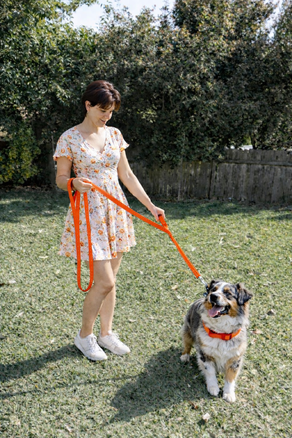 Double Handle Dog Leash - 6FT (1.8m) - Walk, Train and Protect your Pet in Traffic