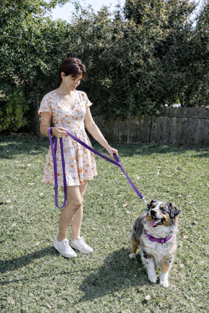 Double Handle Dog Leash - 6FT (1.8m) - Walk, Train and Protect your Pet in Traffic