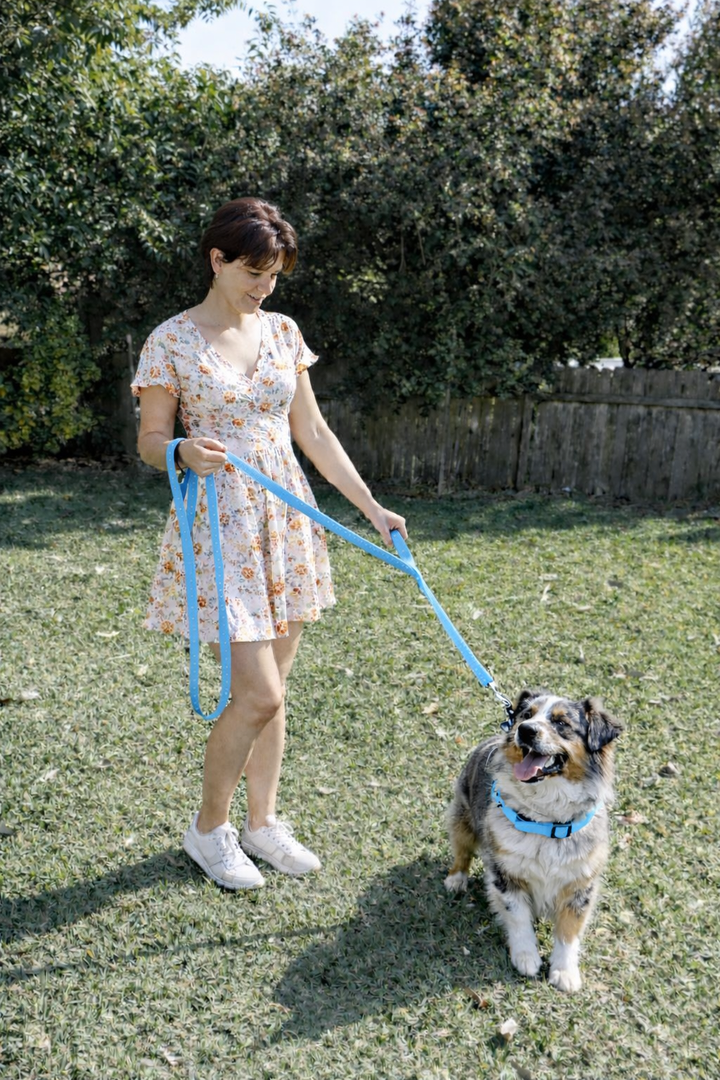 Double Handle Dog Leash - 6FT (1.8m) - Walk, Train and Protect your Pet in Traffic