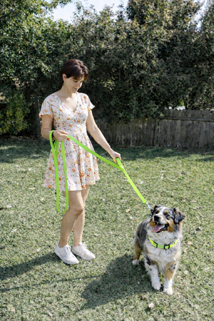 Double Handle Dog Leash - 6FT (1.8m) - Walk, Train and Protect your Pet in Traffic