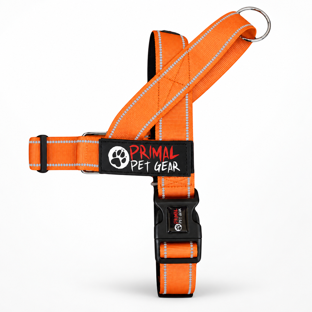 Primal Pet Gear Quick Fit Personalised Dog Harness