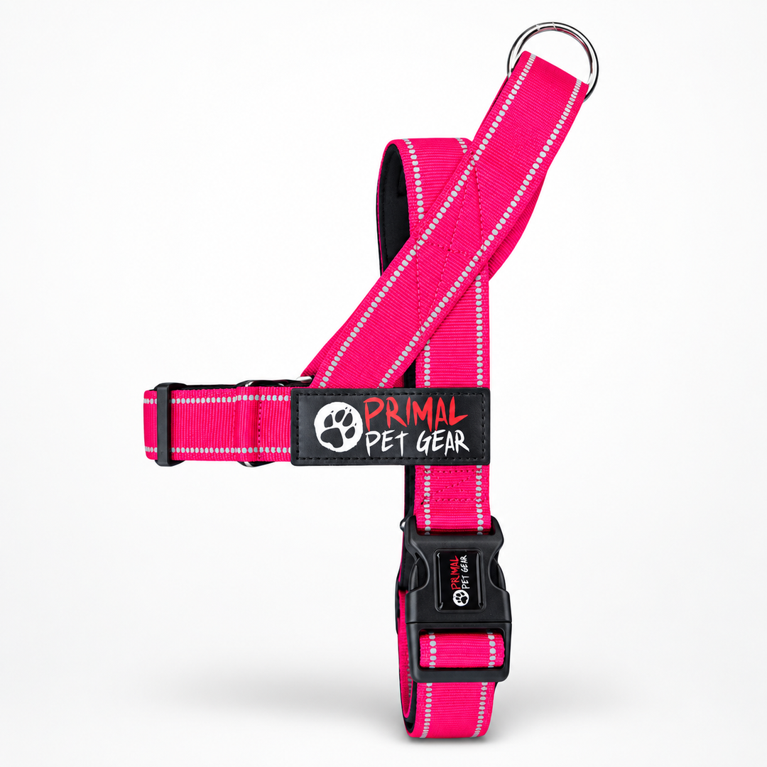 Primal Pet Gear Quick Fit Personalised Dog Harness