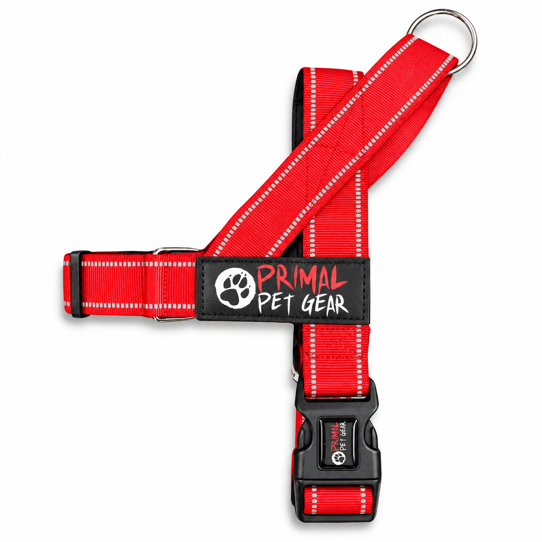 Primal Pet Gear Quick Fit Personalised Dog Harness