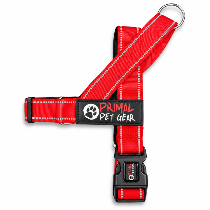 Primal Pet Gear Quick Fit Personalised Dog Harness