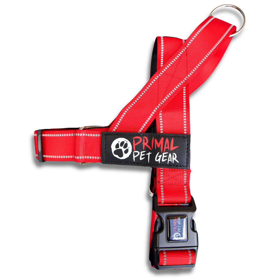 pet gears Primal Pet Gear Quick Fit Personalised Dog Harness