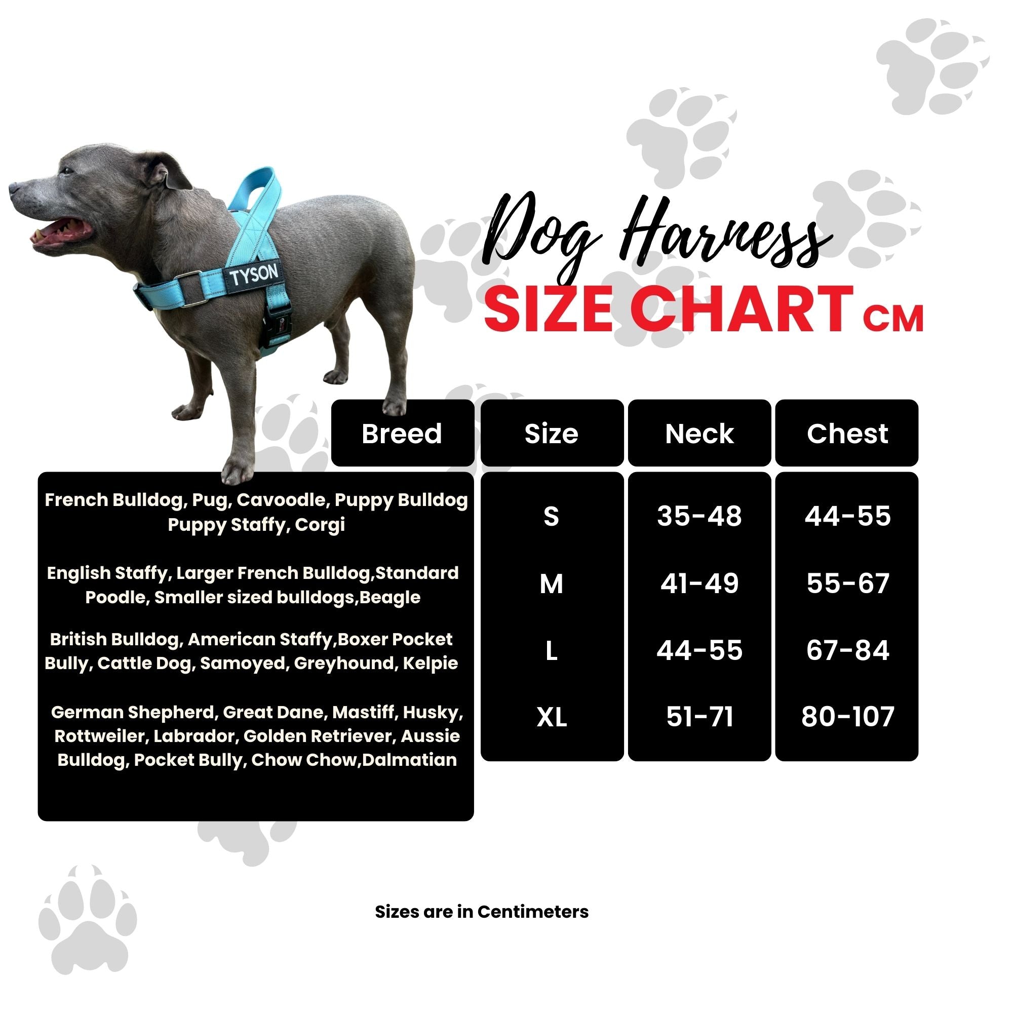 Kong sales harness sizes