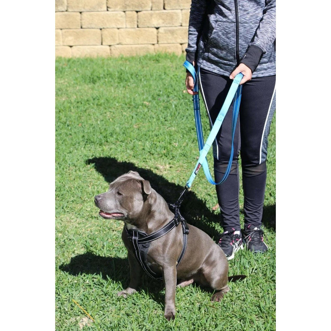 Double Handle Dog Leash - 6FT (1.8m) - Walk, Train and Protect your Pet in Traffic - Primal Pet Gear