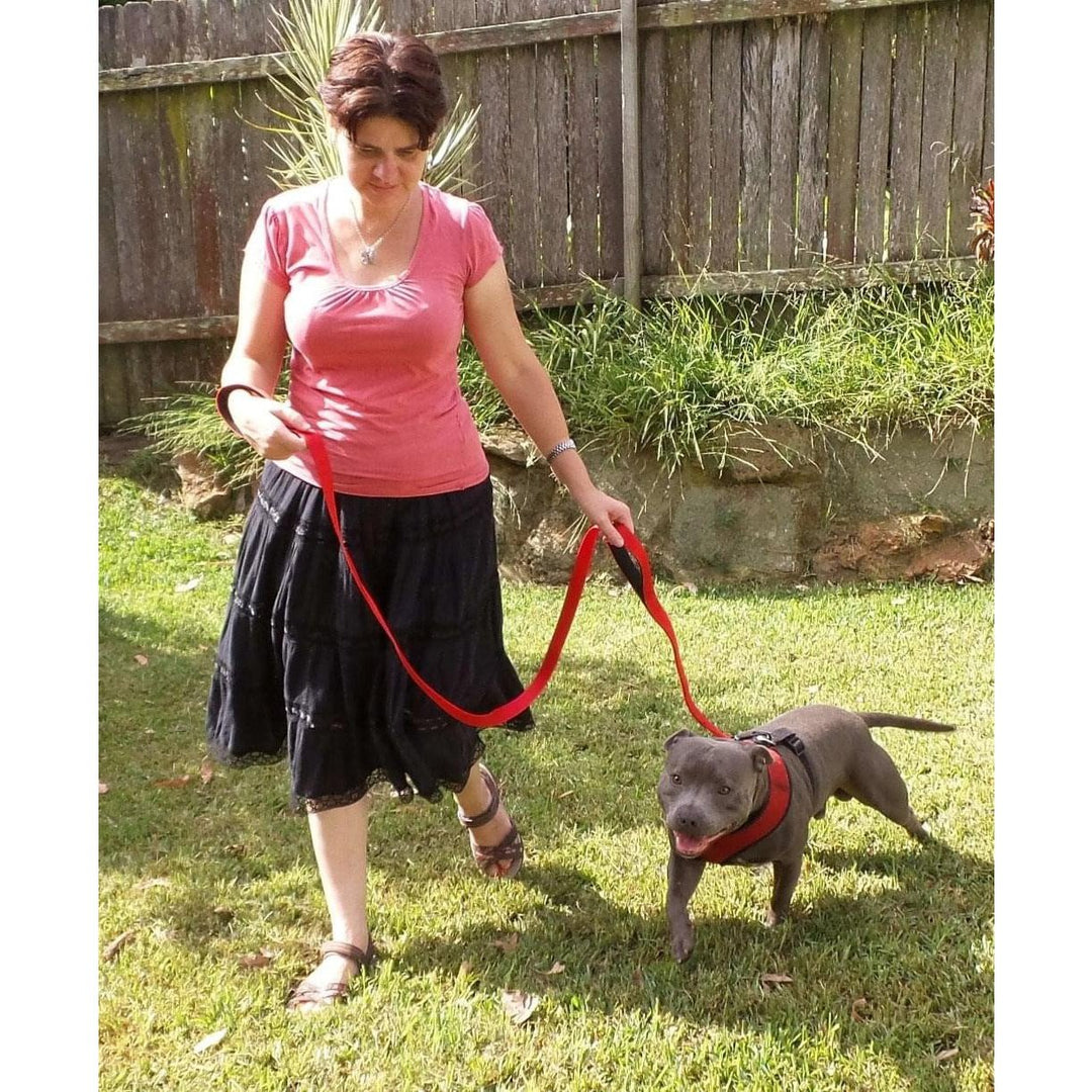 Double Handle Dog Leash - 6FT (1.8m) - Walk, Train and Protect your Pet in Traffic - Primal Pet Gear