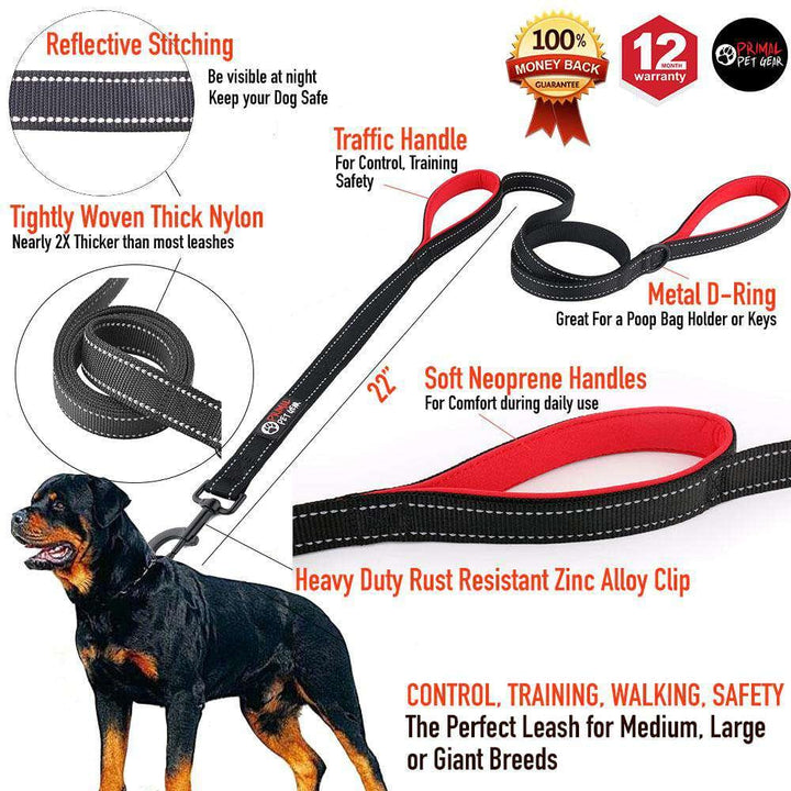 Double Handle Dog Leash - 8FT (2.4m) - Walk, Train and Protect your Pet in Traffic - Primal Pet Gear