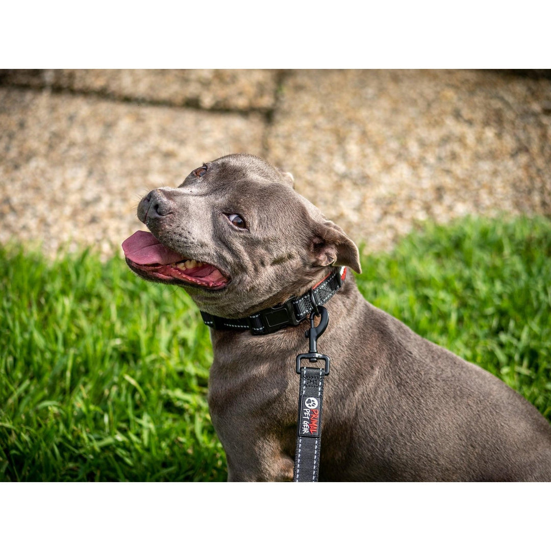 Primal Pet Gear Tough Dog and Puppy Collars - Primal Pet Gear